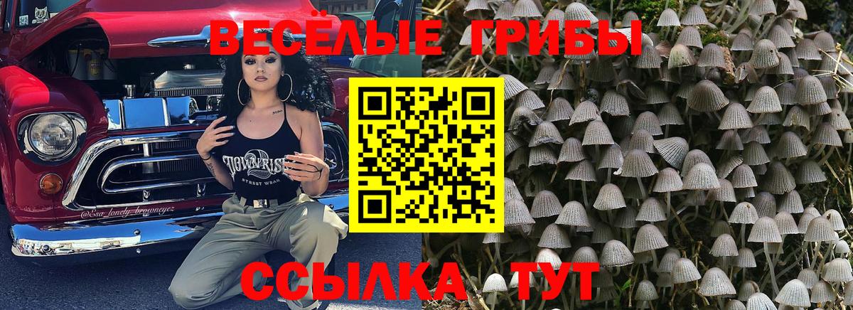 Шебекино  Галлюциногенные грибы мицелий  Вход с VPN  Псилоцибиновые грибы MAGIC MUSHROOMS 