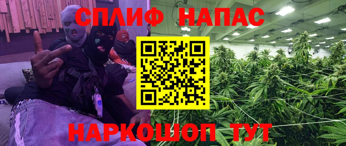 МАРИХУАНА тримм  Вход с VPN  Бошки Шишки планчик  Шебекино  Бошки марихуана конопля 